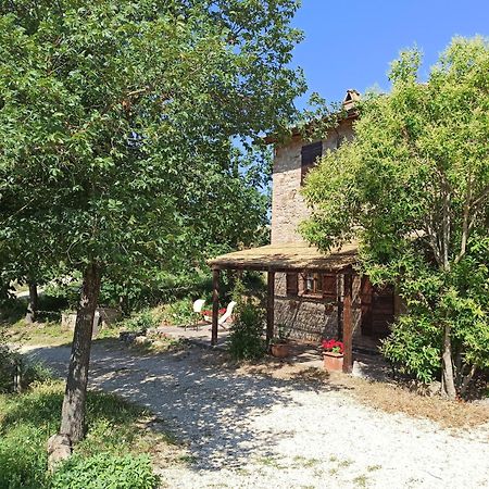 Agriturismo Casa Greppo San Venanzo Buitenkant foto