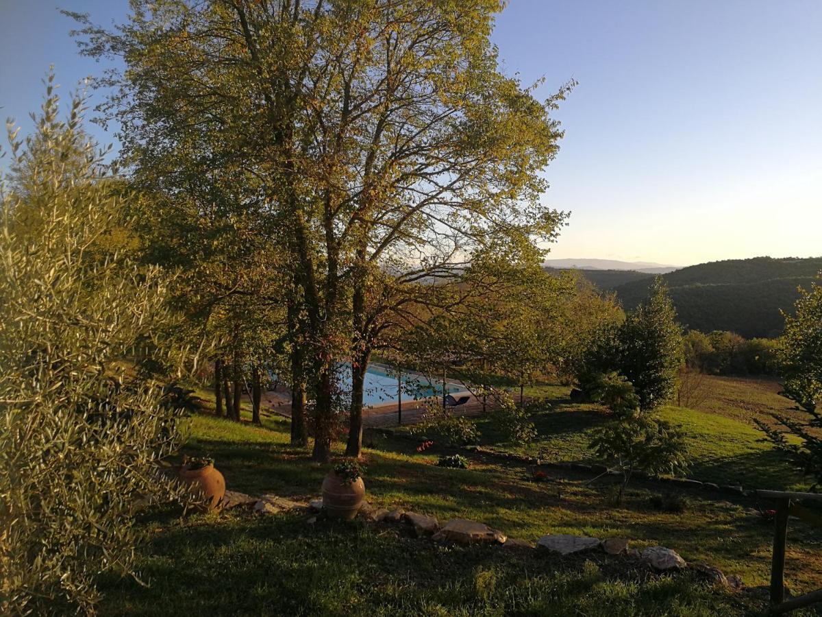 Agriturismo Casa Greppo San Venanzo Buitenkant foto